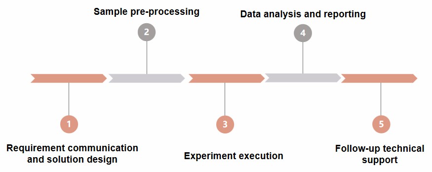 Process of testing.