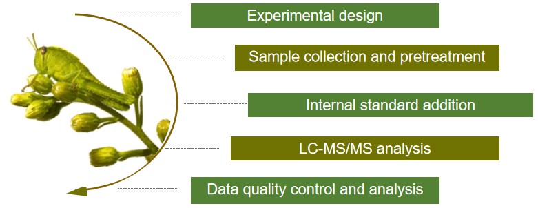Process of testing.
