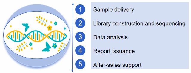 Our service workflow.