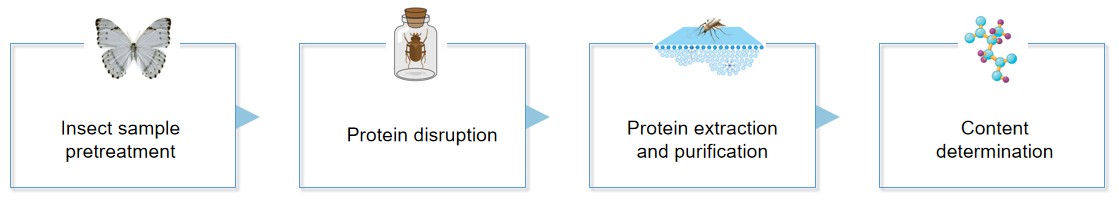 Process of testing.