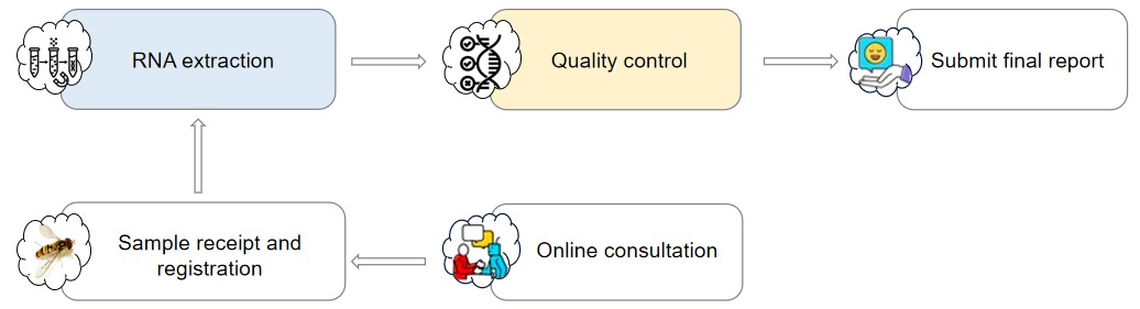 Process of our service.
