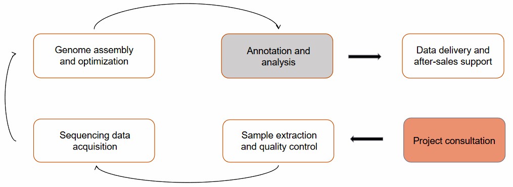 Our service workflow.