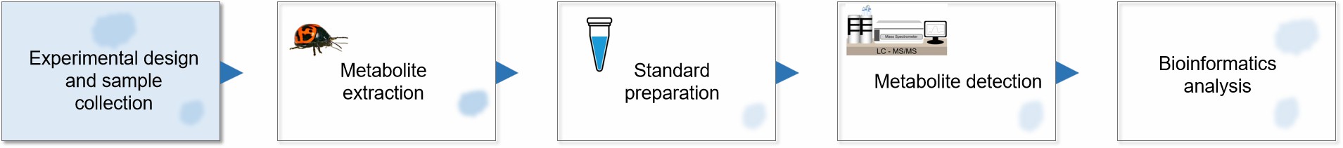 Process of testing.