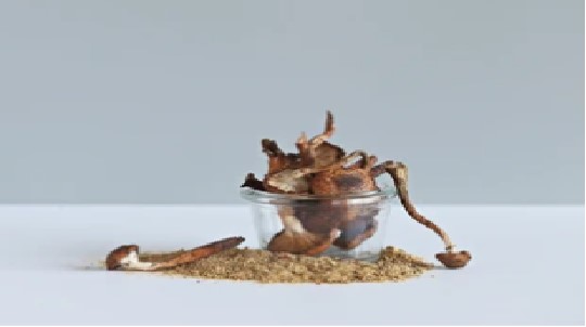 Cultivation of Various Mushrooms picture1