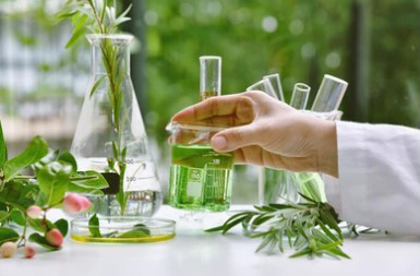 Mushroom Biology Services picture1