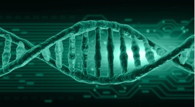 Identification of Mating Type Genes in Mushrooms