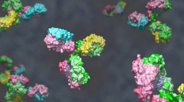 Mushroom Proteomics Services