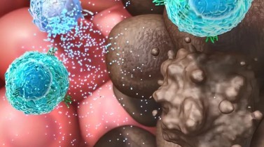 Mushroom Metabolomics Services