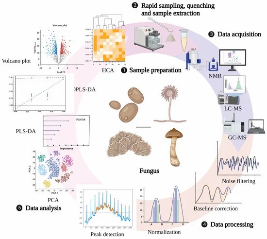 General technical route of metabolomics.