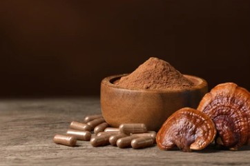 Mushroom Extract Capsules