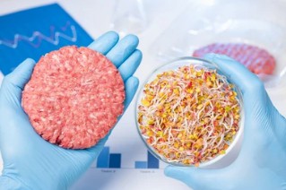 Meat substitutes