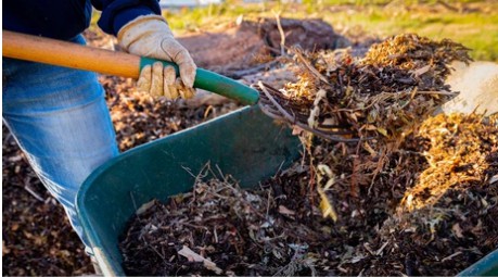 Mushroom Compost as a Soil Conditioner