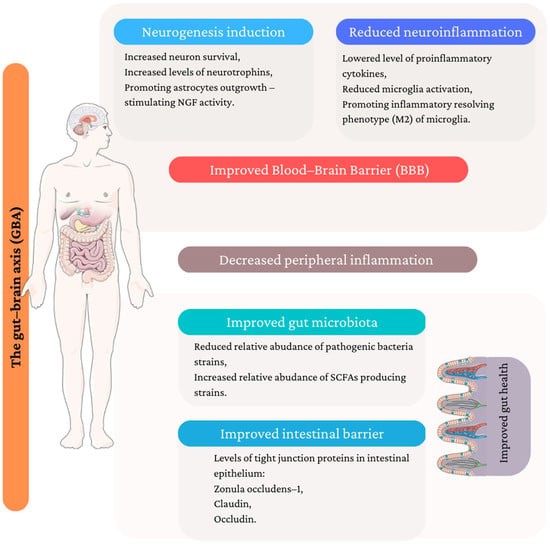 Potential mechanism of antidepressant activity of medicinal/edible mushroom.