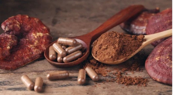Mushrooms as Medicines