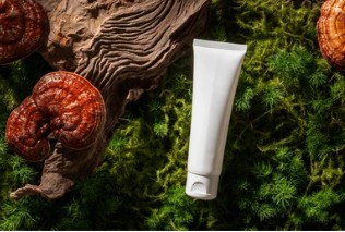 Mushrooms as Cosmetics