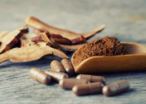 Mushrooms as Medicines