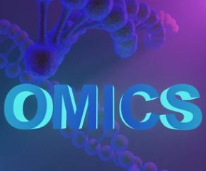 Mushroomomics Services