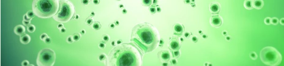 Green Cells