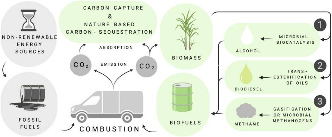 Routes to decarbonization by using biofuel