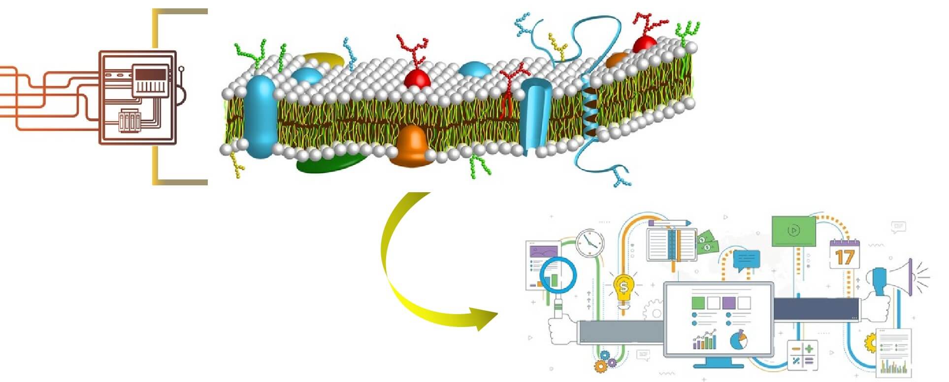 Principle of nanopore sequencing.