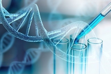 Nucleic Acid Recognition Biomolecular Sensors for Plant Pathogen Detection