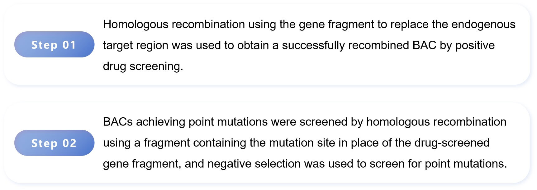 Two-step method of BAC modification - Lifeasible