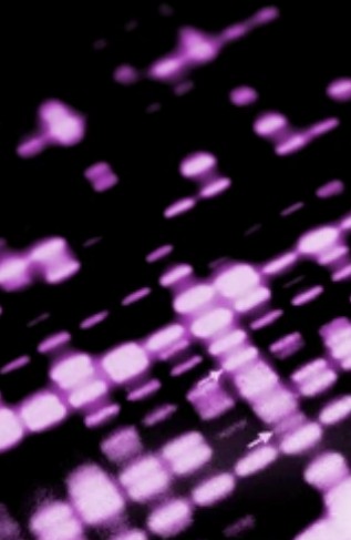 1-1-1-plant-telomere-length-assay-1