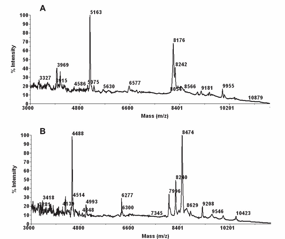 Protein profiles of plant nematodes with MALDI-ToF-MS.