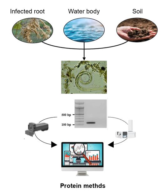 Protein methods with their associated experimental setup.