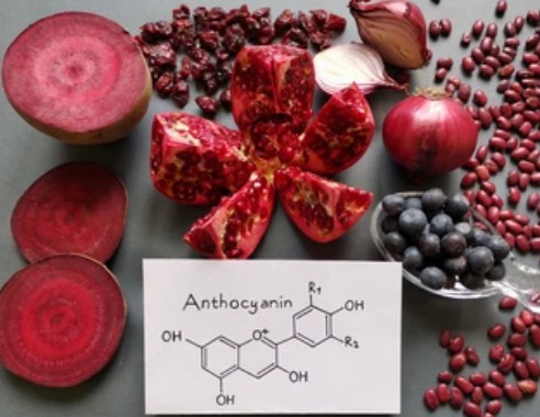 Increase the Anthocyanin Content of Fruits
