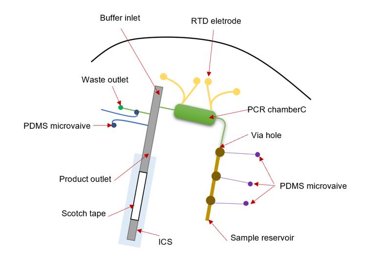 A brief description of microfluidic RT-PCR assay.
