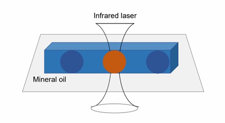 Laser heating of PCR droplets film.