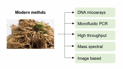 Modern methods for detection of plant nematodes.