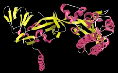 Development of Insecticide Fusion Proteins