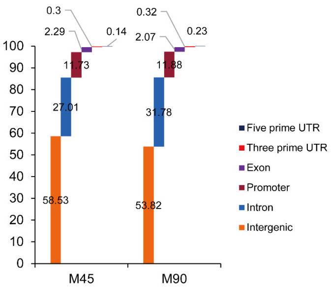 Figure 1. Read distribution of CTCF chromatin immunoprecipitation sequencing (ChIP-seq) among sheep genomes. (Yuan, Z, et al. 2022)