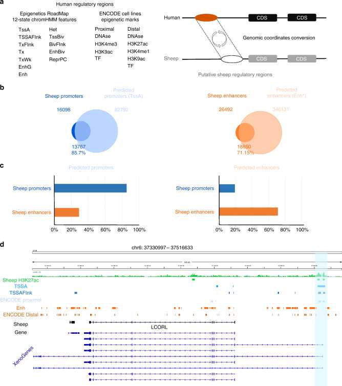 Figure 3, Preliminary functional annotation of the sheep genome by ChIP-seq detection and analysis. (Naval-Sanchez, M, et al. 2018)