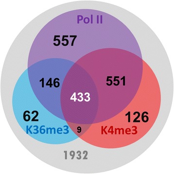 Figure 1. Analysis of chromatin signatures (Pol II, H3K36me3 and H3K4me3) in the curated lncRNA genes. (Chen, M. J, et al. 2016)