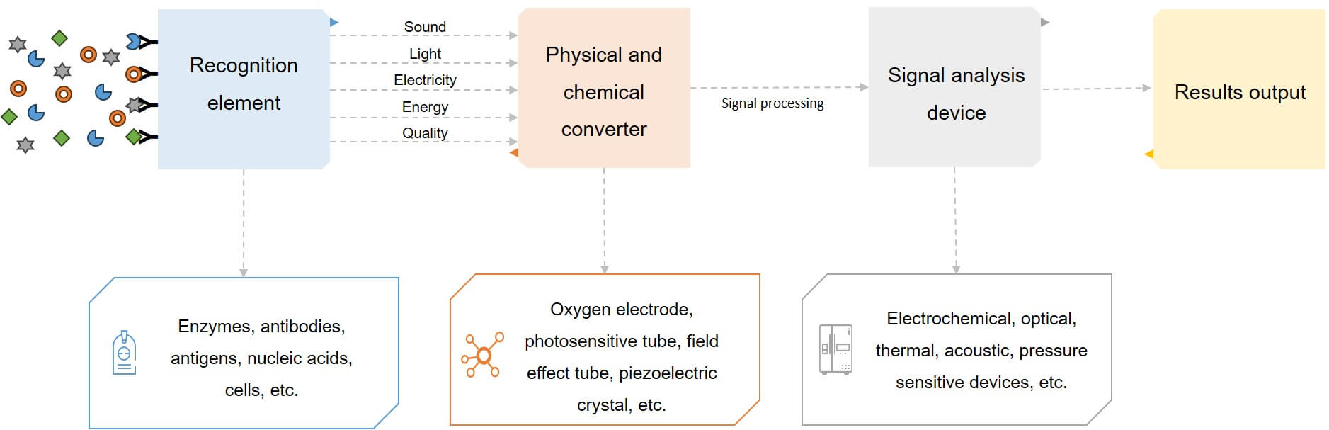 Protein recognition biomolecular sensors for plant pathogen detection