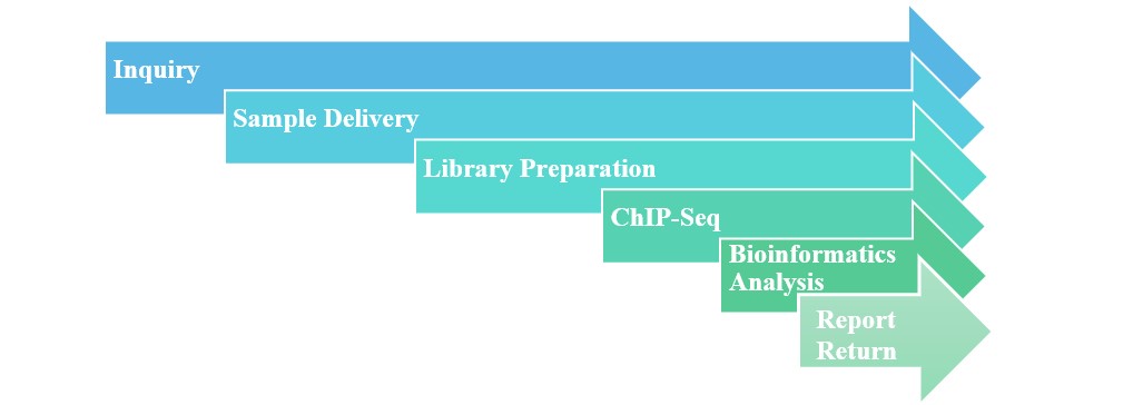 Flow chart of ChIP-seq service. - Lifeasible
