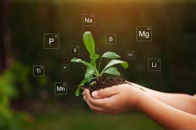 Soil Nutrient Analysis