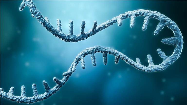 Bioinformatics analysis of plant pre-mRNA variable splicing.