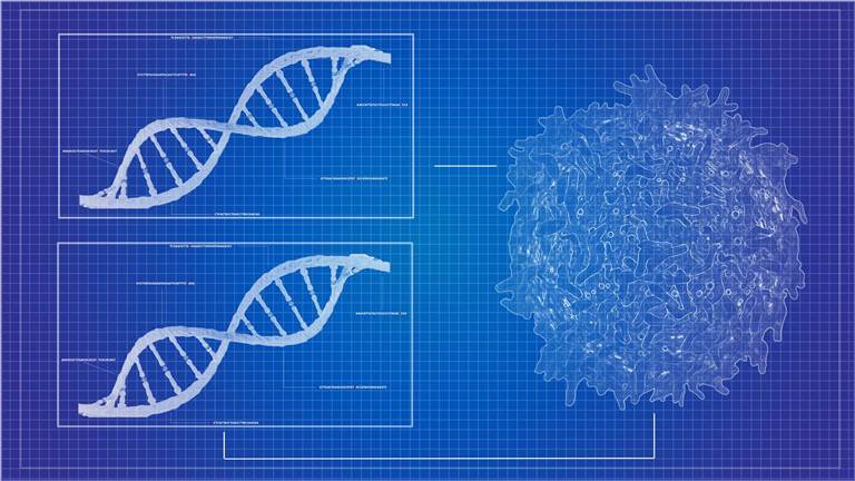 Plant gene family bioinformatics analysis.