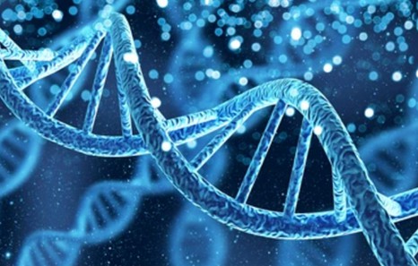 1-2-2-analysis-of-plant-telomeres-and-telomerase-related-genes-1