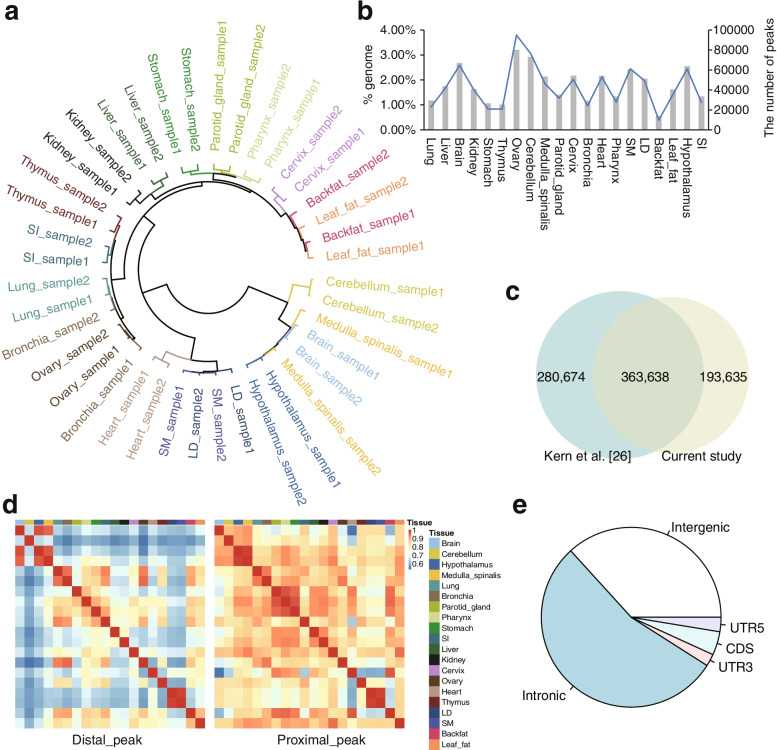 Figure 3. Identification of chromatin accessibility by ATAC-seq in pigs. (Jiang, T, et al. 2022)