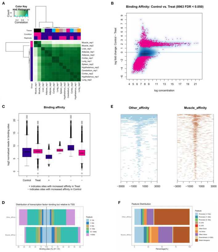 Figure 2. The landscape of genomic chromatin accessibility as analyzed by ATAC-seq. (Wang, J, et al. 2022)