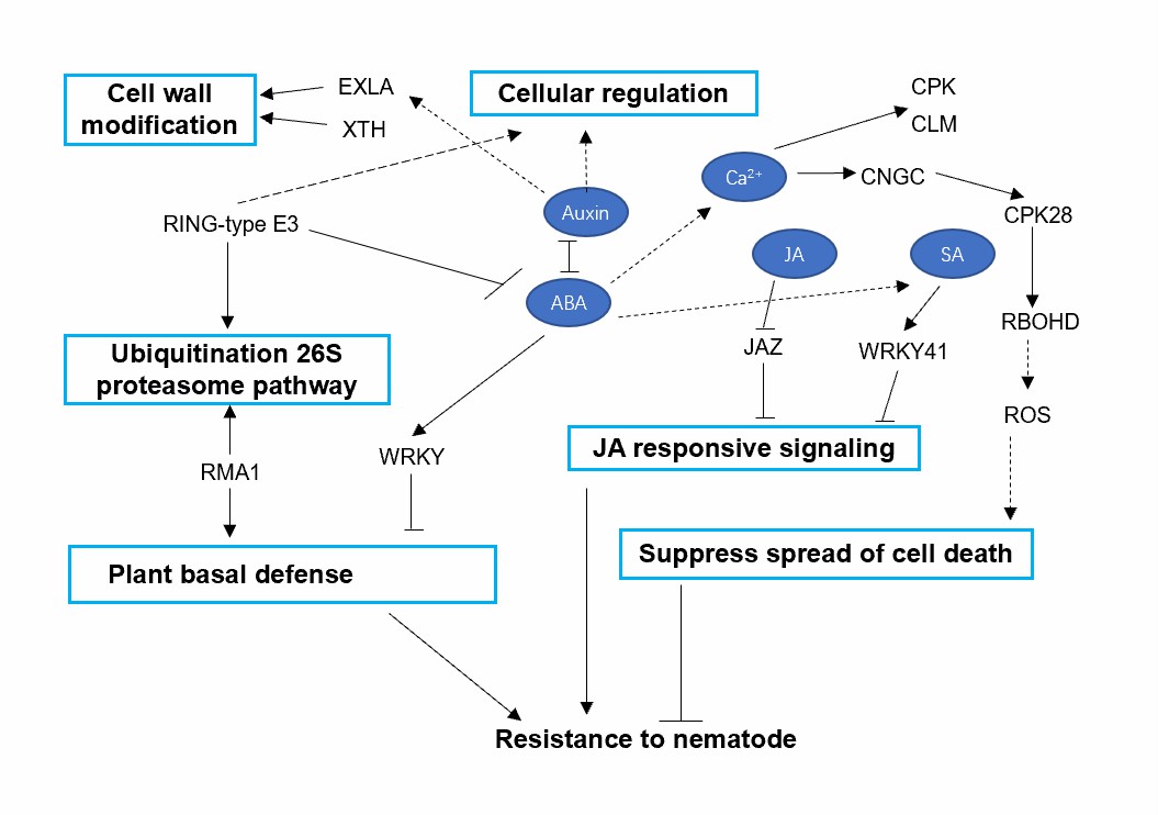 Waves of effector expression over time and pathogen type.