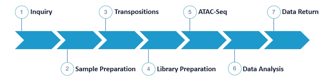 Flow chart of ATAC-seq service. - Lifeasible