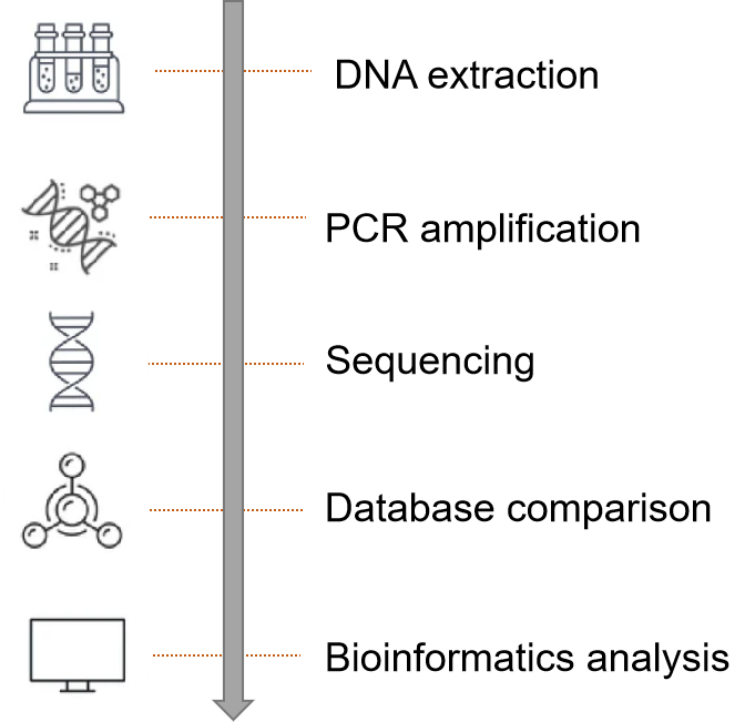 Fig. 2. Our service workflow - Lifeasible