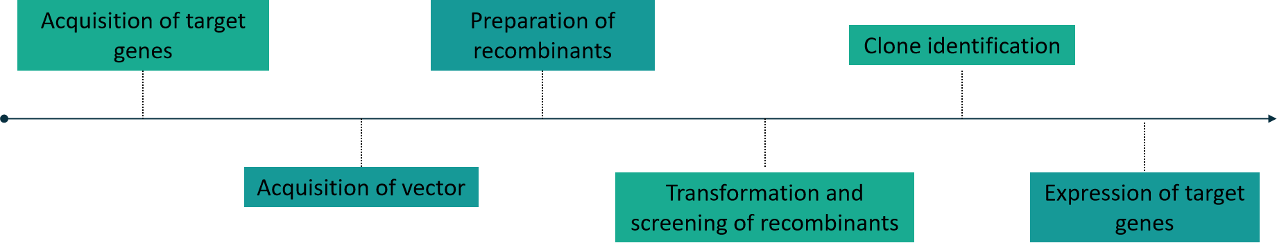 Our service workflow - Lifeasible