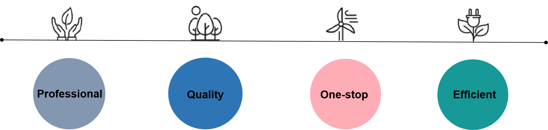 Fig. 2. Advantages of our services - Lifeasible